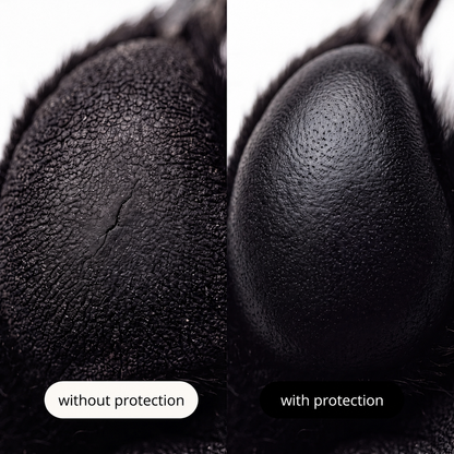 Dog Paw Balm Stick