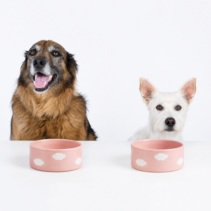 Stoneware Cloud Bowl | Pink