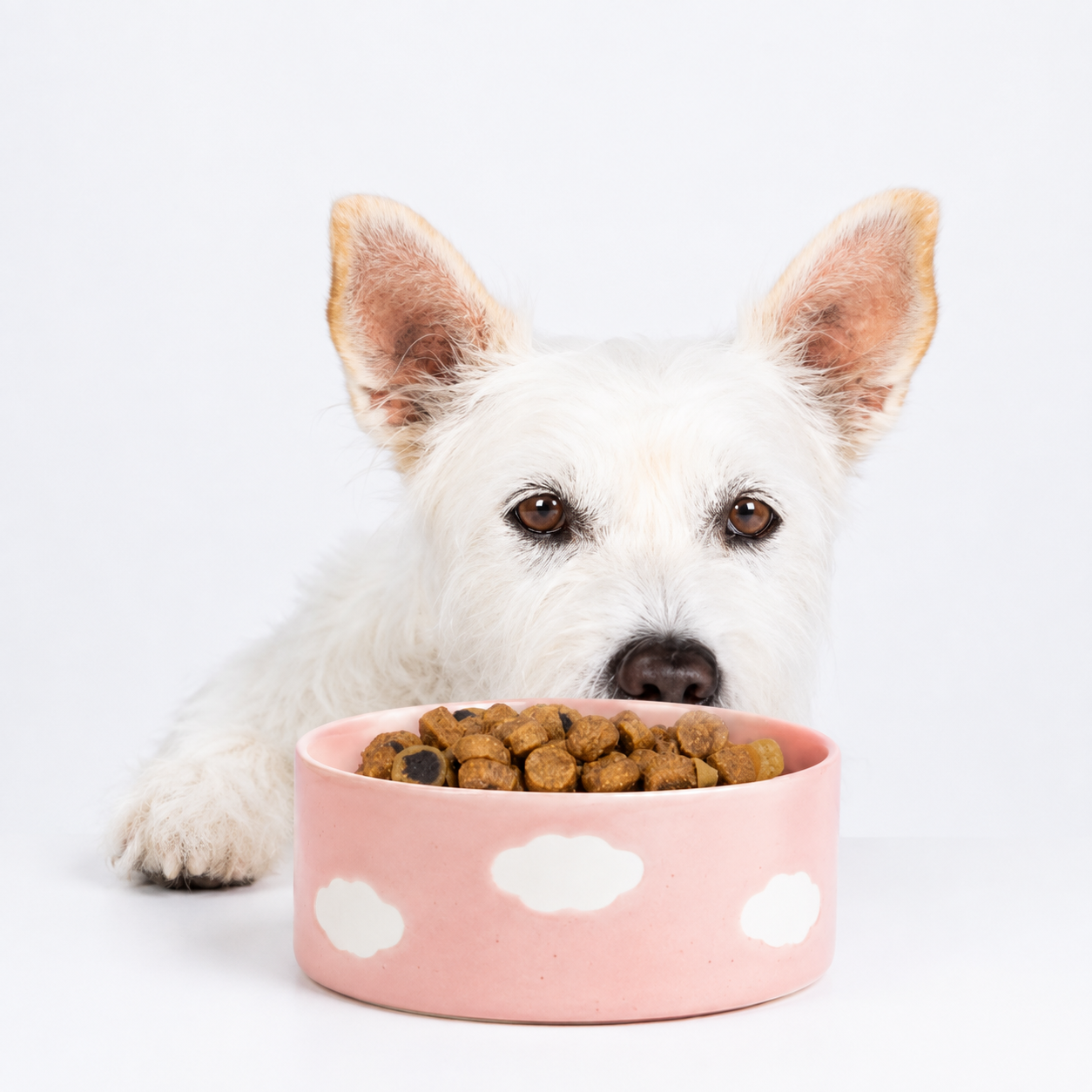 Stoneware Cloud Bowl | Pink