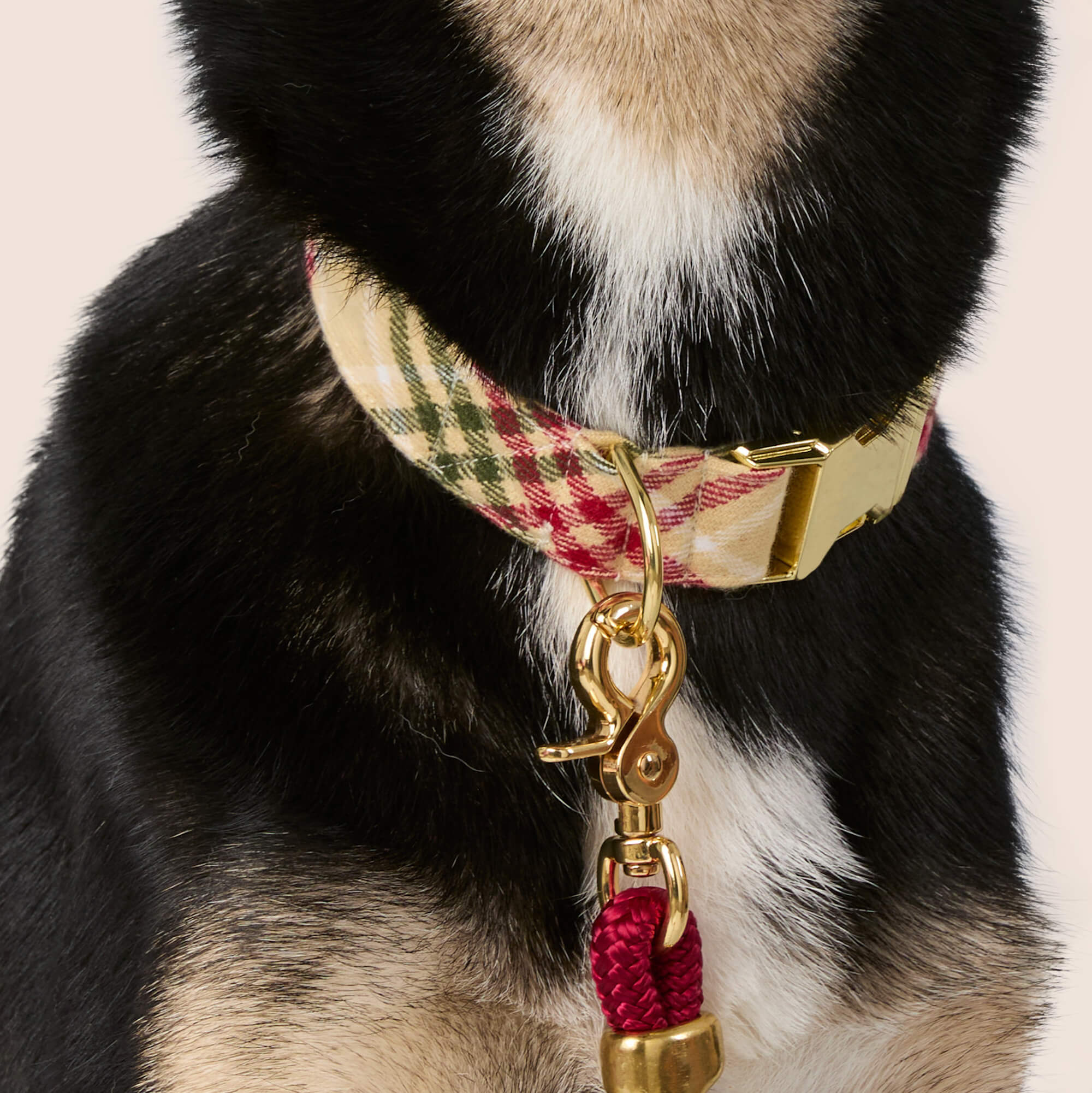 Eggnog Plaid Flannel Bow Tie Collar