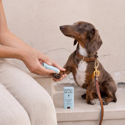 Dog Paw Balm Stick