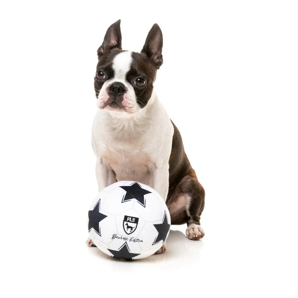 Soccer Ball