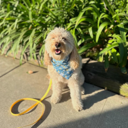 Denim &amp; Daisies Bandana