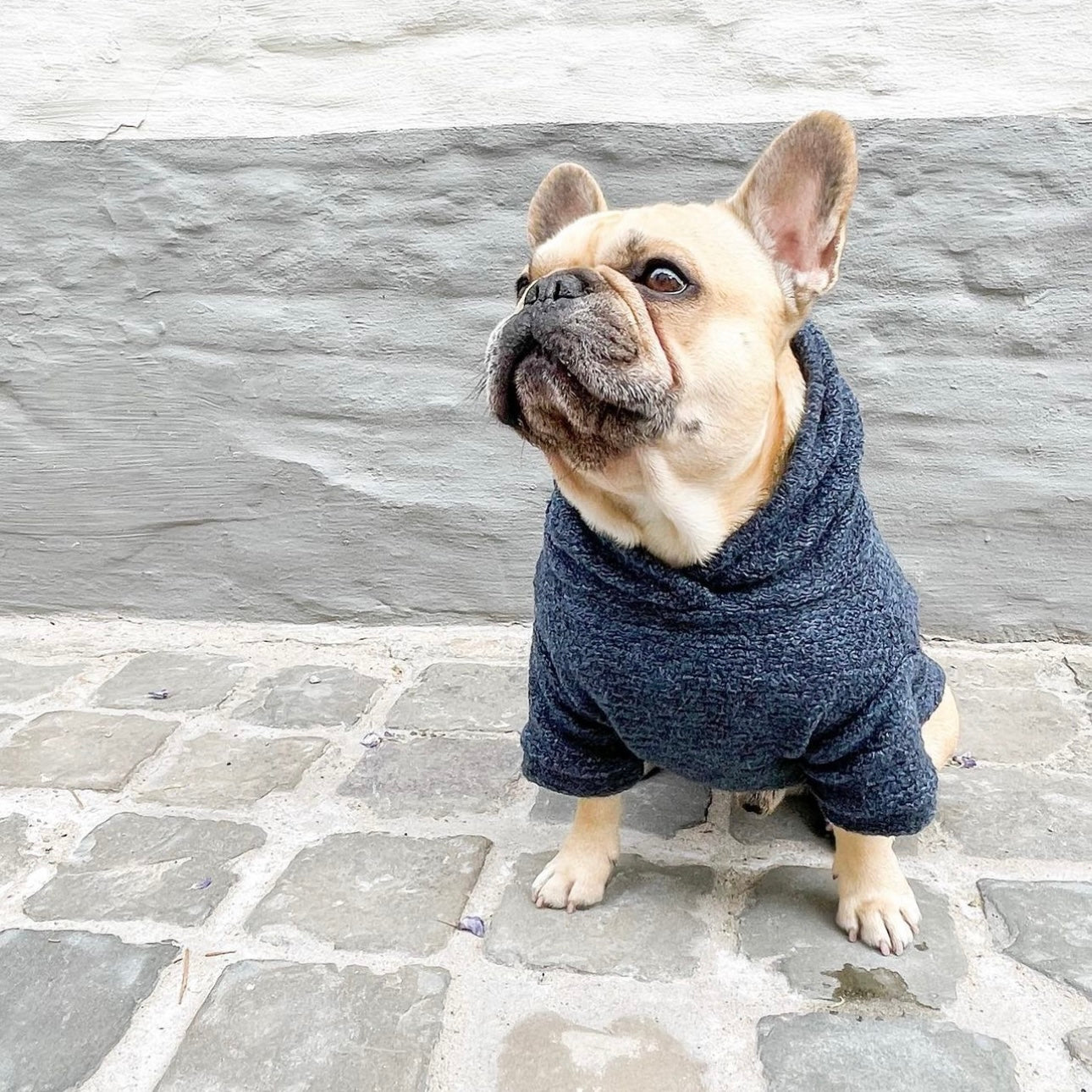Dog Sweater - Jeans Blue