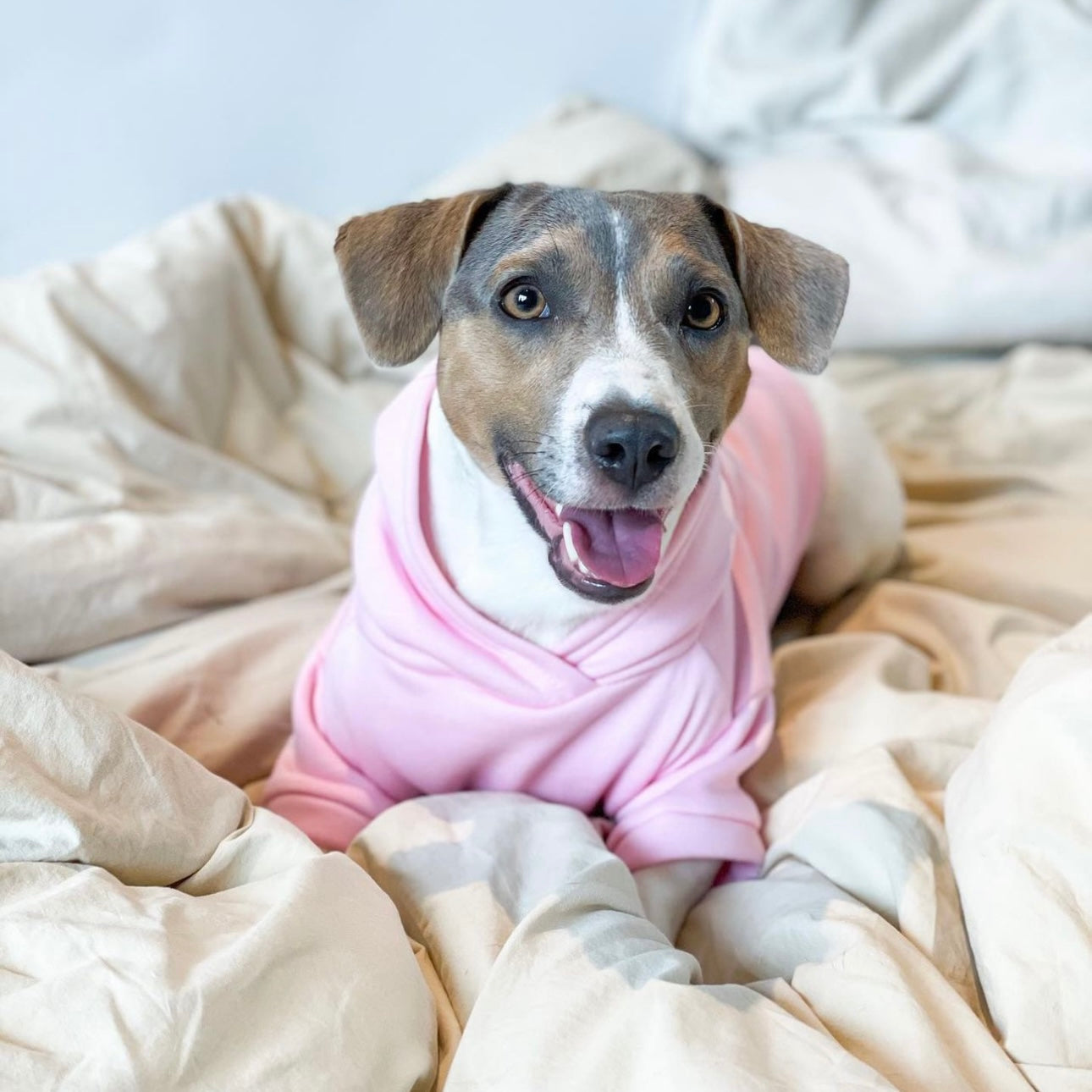 Dog Sweater - Pastel Pink