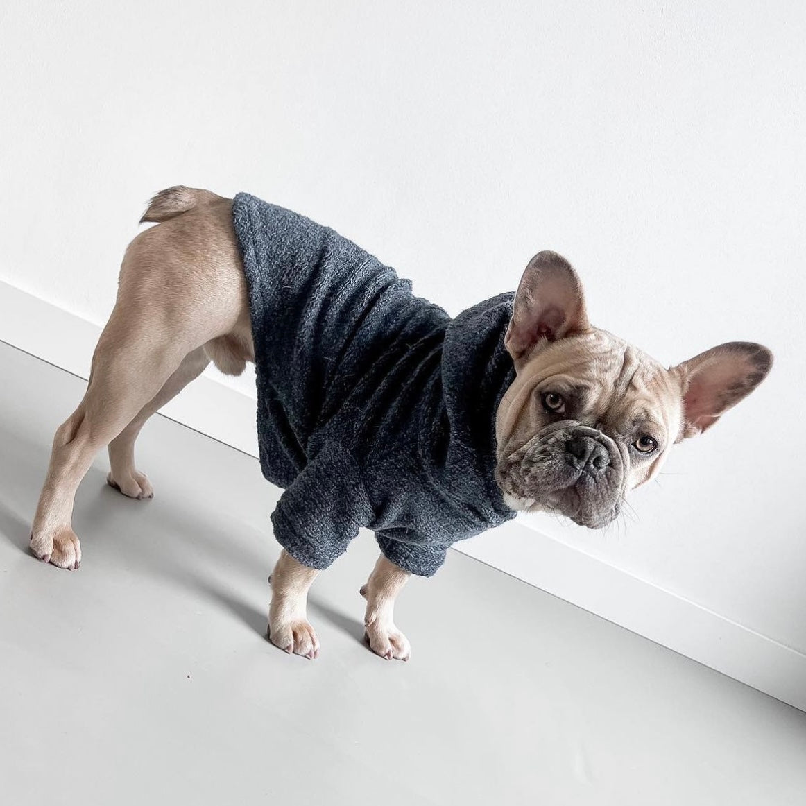 Dog Sweater - Jeans Blue