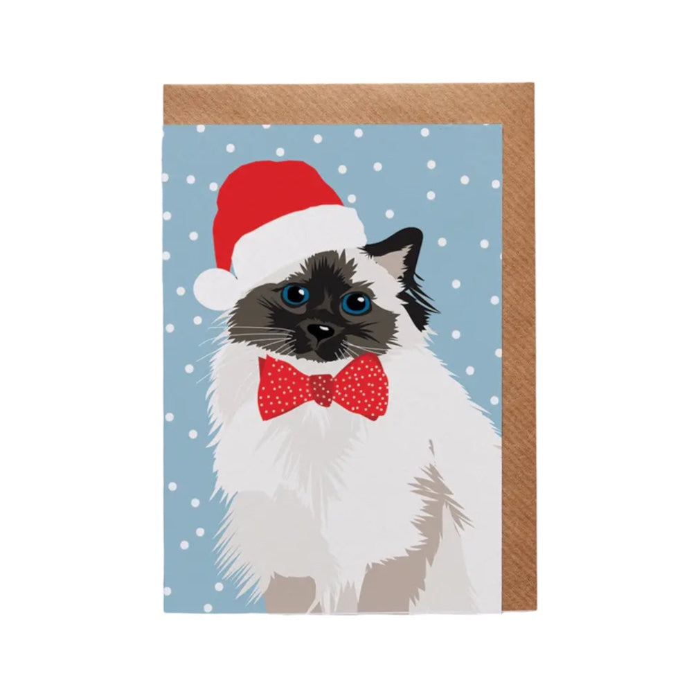 Persian Cat in Santa Hat Christmas Card