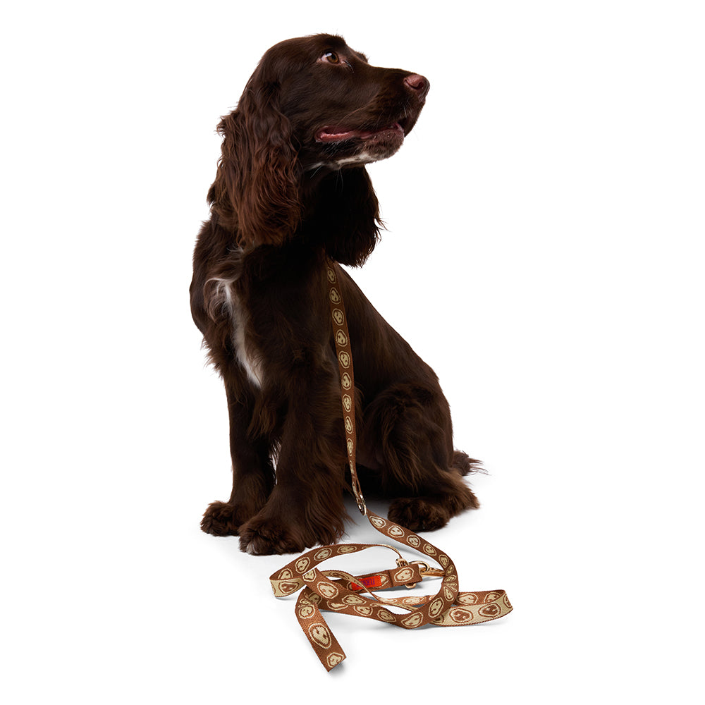 Leash - Latte Brown