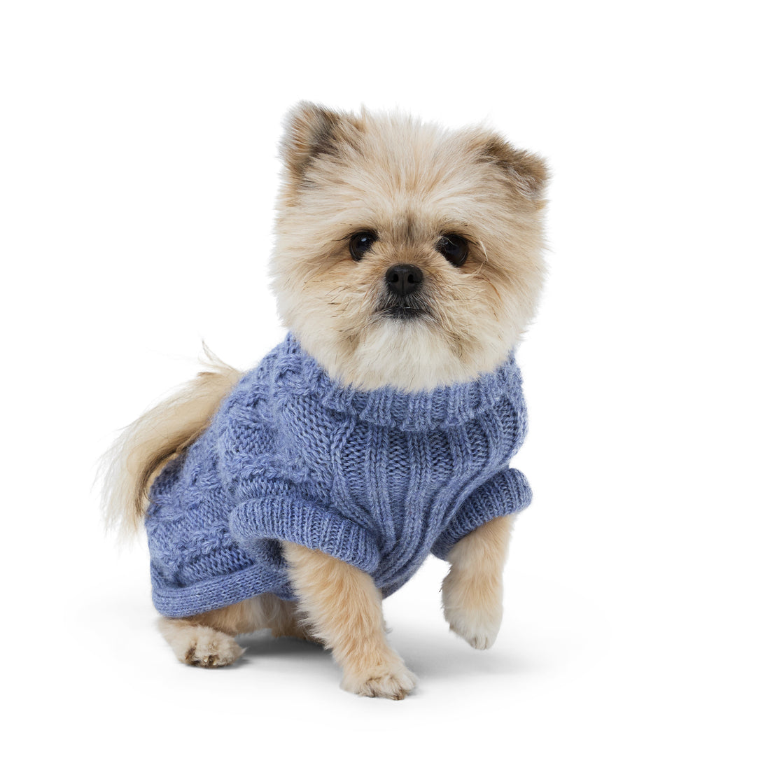 Bold - Chai Blue 🩵