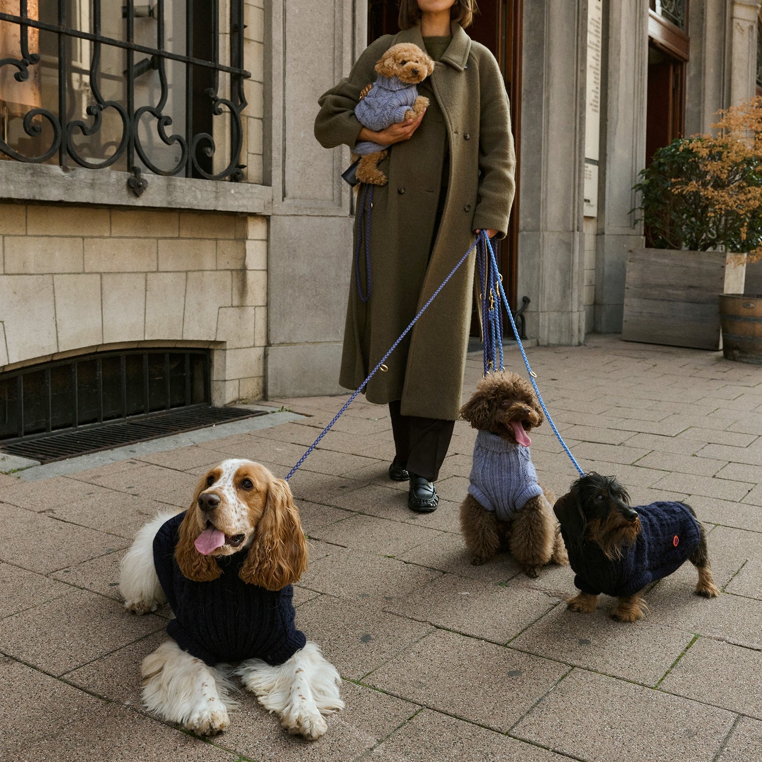 Bold - Bowie Blue 💙