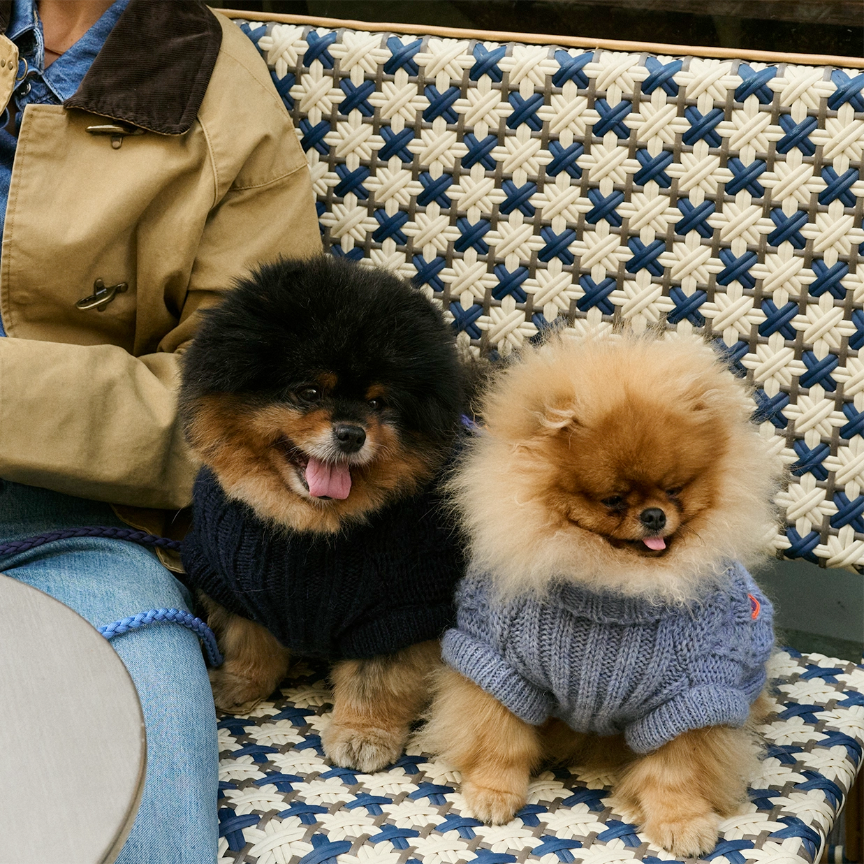 Bold - Bowie Blue 💙