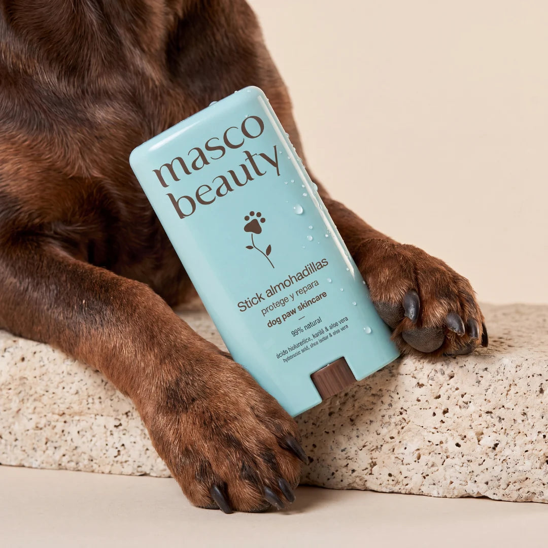 Dog Paw Balm Stick