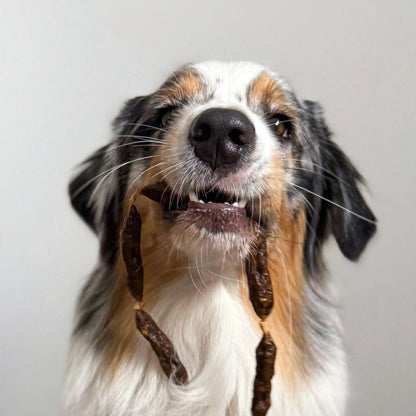 Beef Salamis | Air-Dried Snack