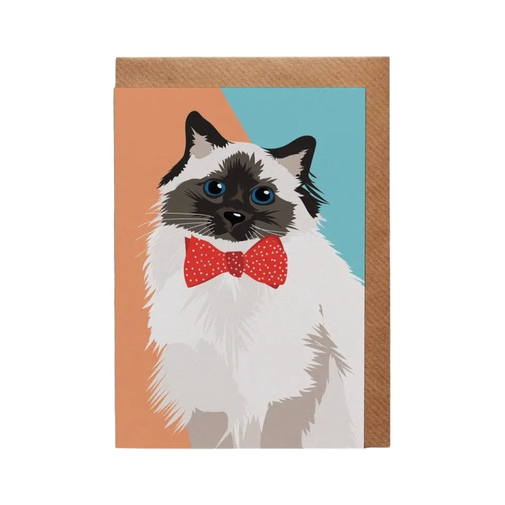 Meg the Cat Fluffy Cat Card