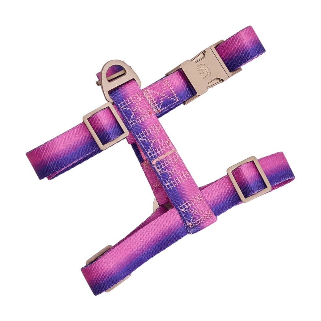 Gradient Harness - Pink/Purple