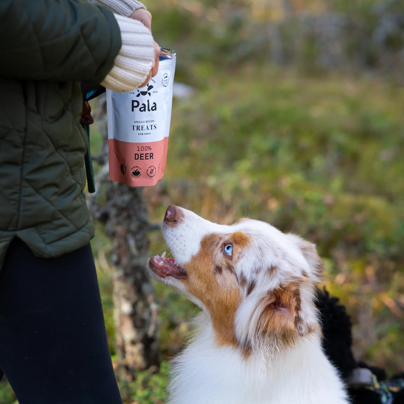 Pala Treat | 100% Deer