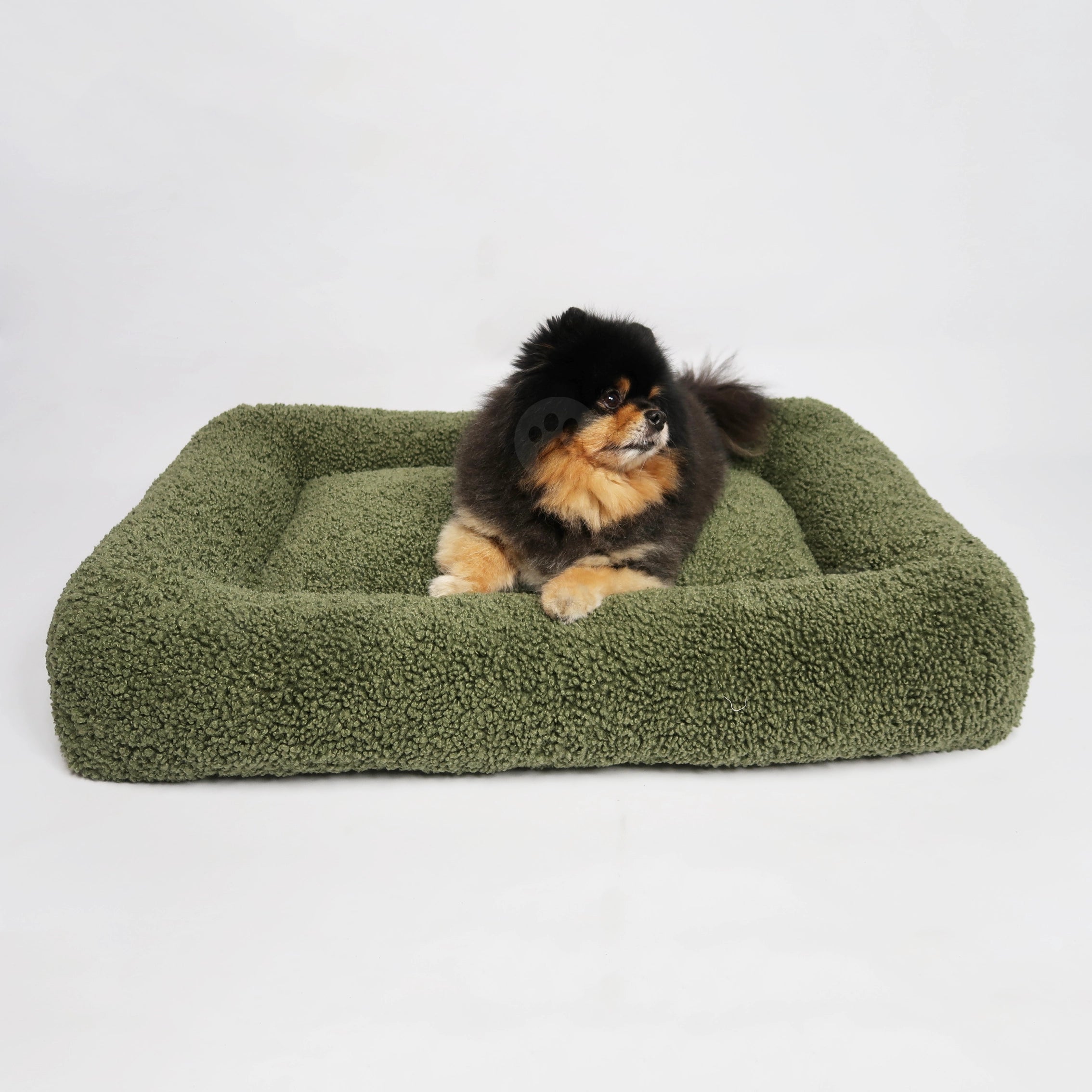 Dinghi Dog Bed - Super Teddy Khaki