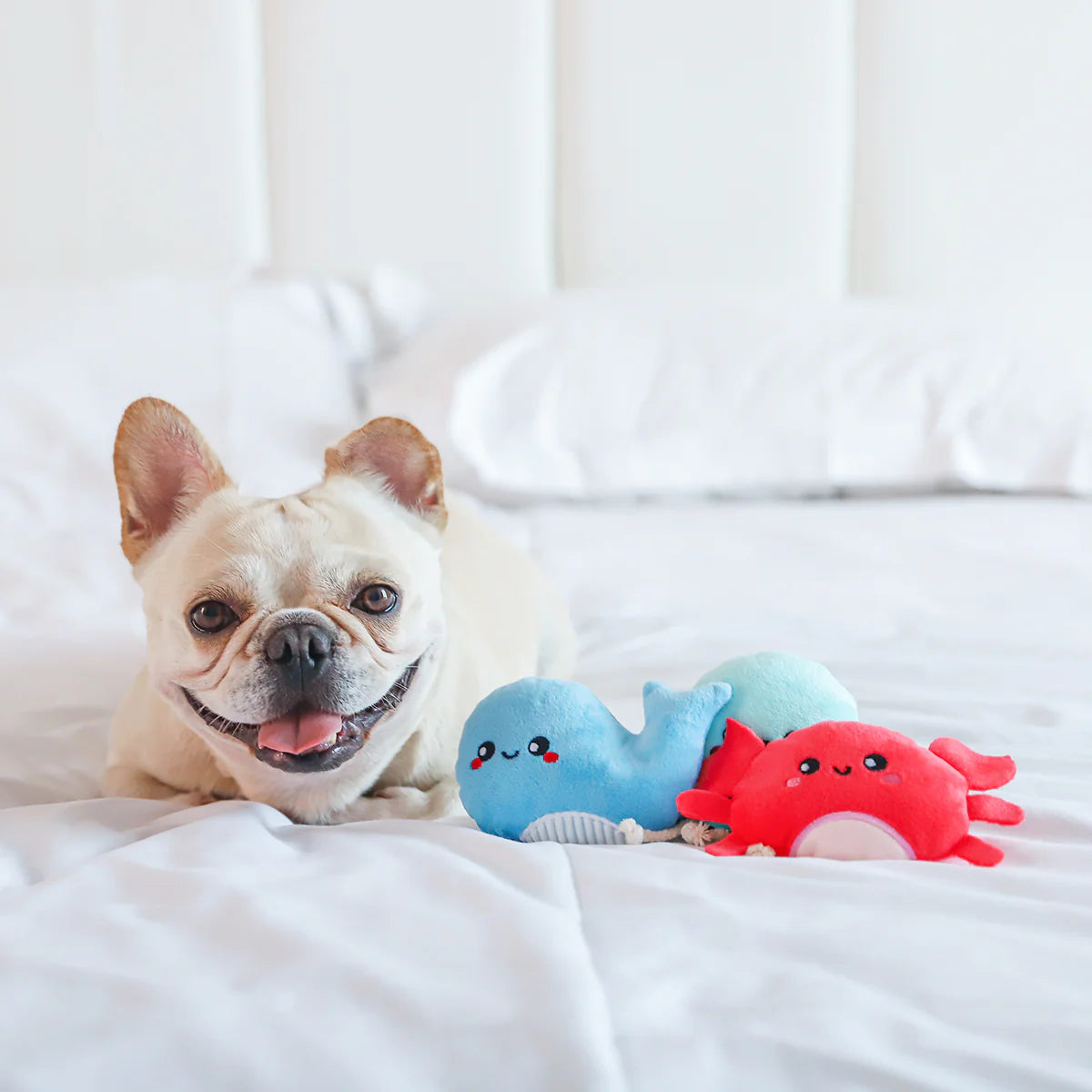 Sea Creatures | Small Dogs Toy Set