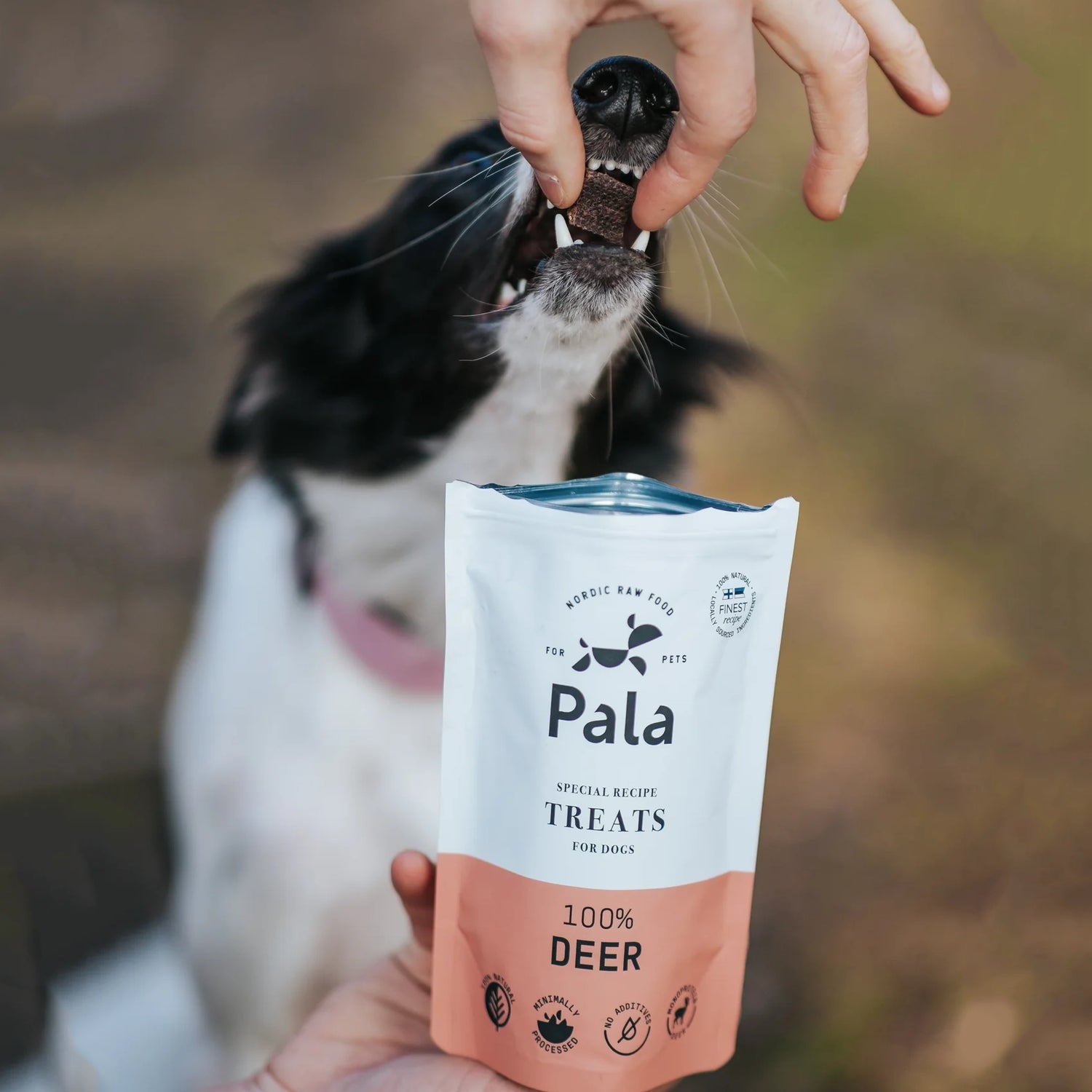 Pala Treat | 100% Deer