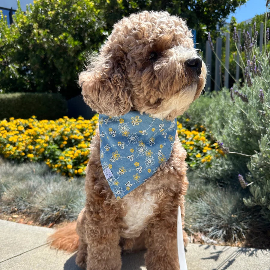 Denim &amp; Daisies Bandana