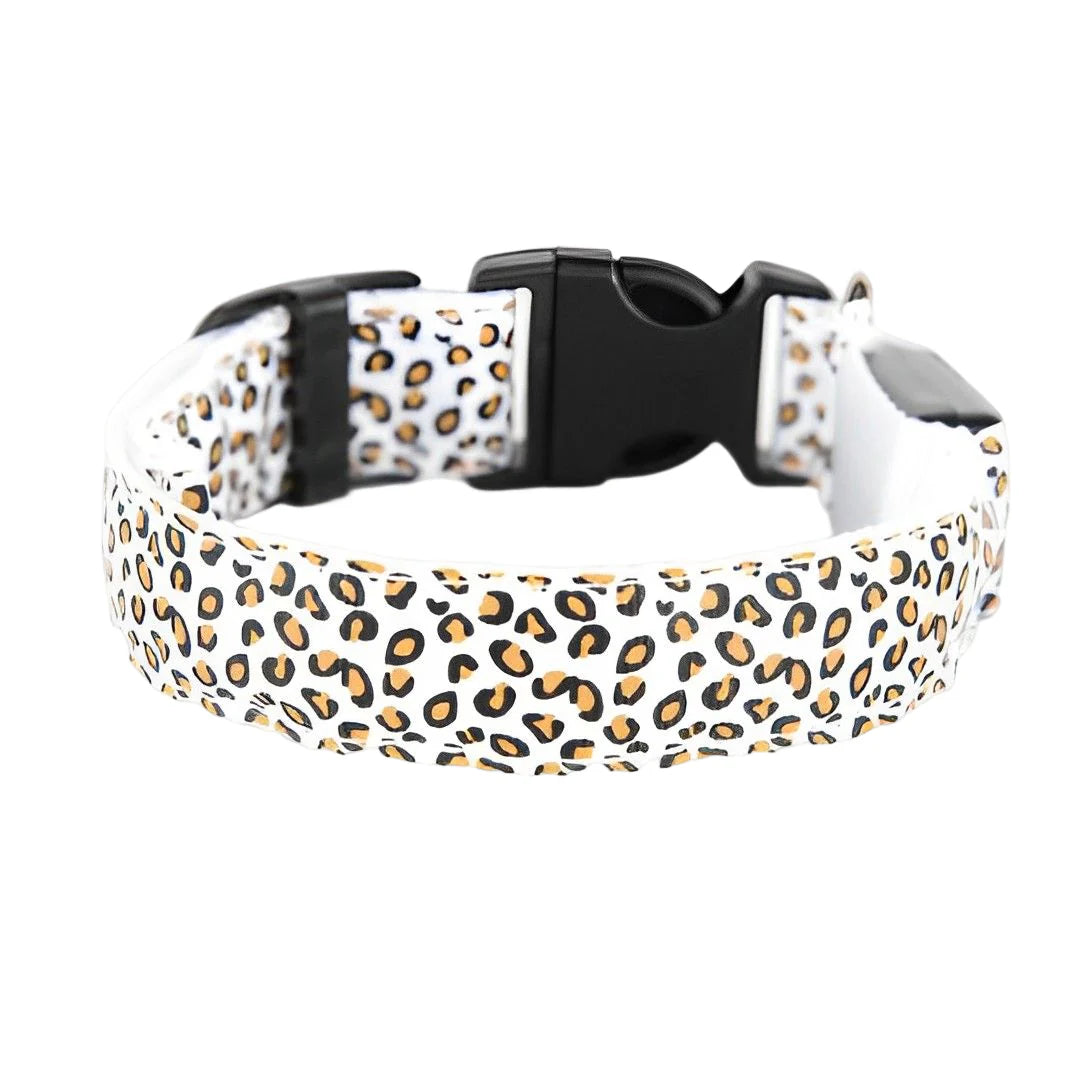 LED Dog Collar - White