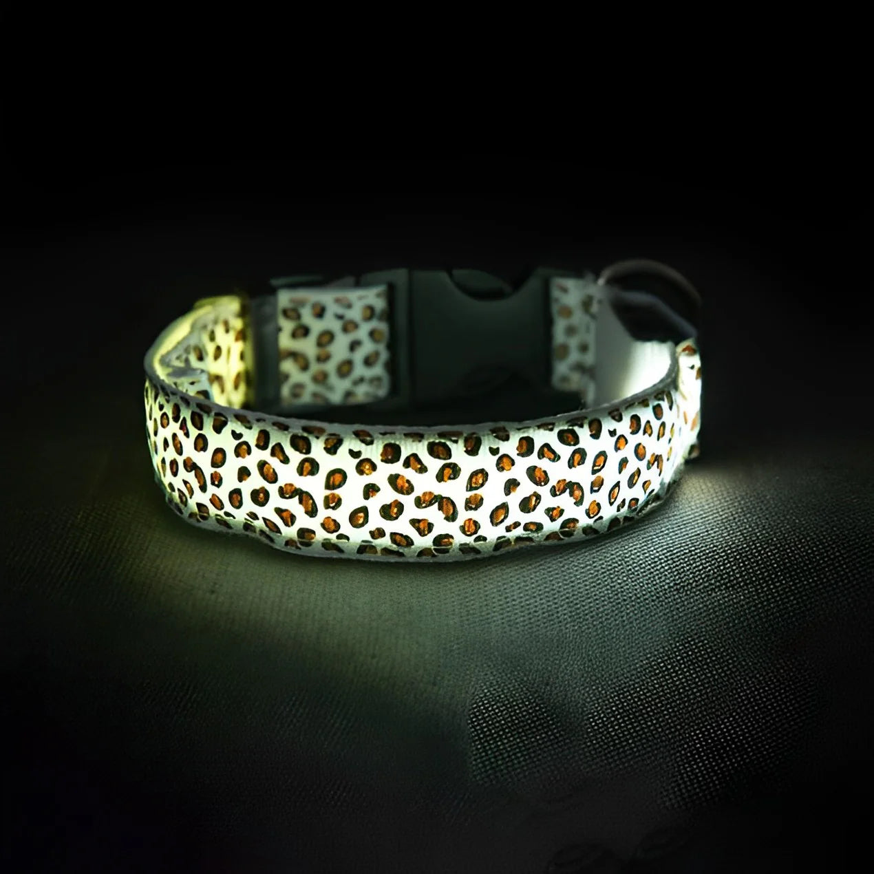 LED Dog Collar - White