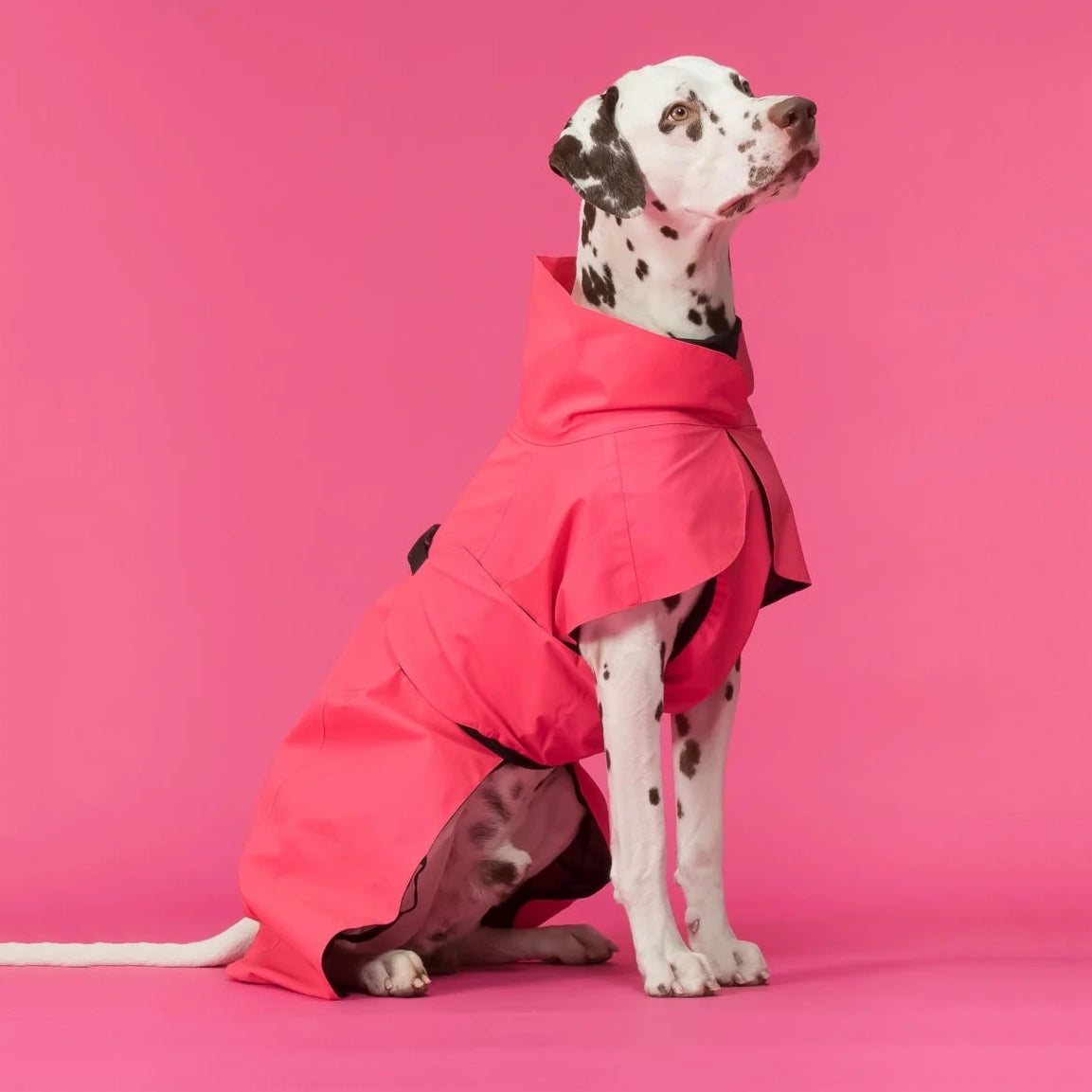 Visibility Raincoat Lite Hot Pink Pet a Porter