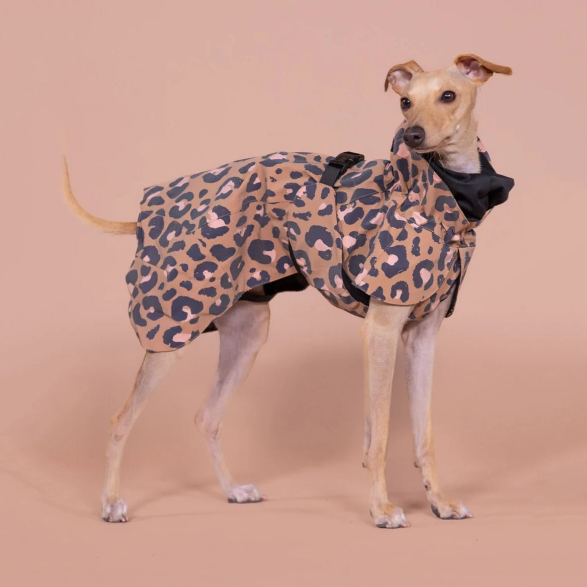 Visibility Raincoat Lite - Leopard