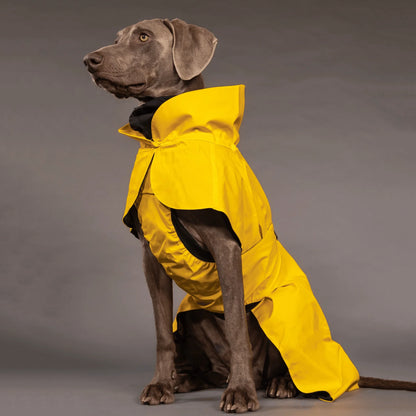 Visibility Raincoat Lite - Yellow