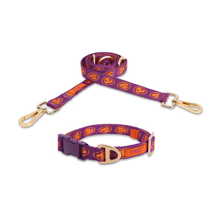 Leash - Furmey Orange