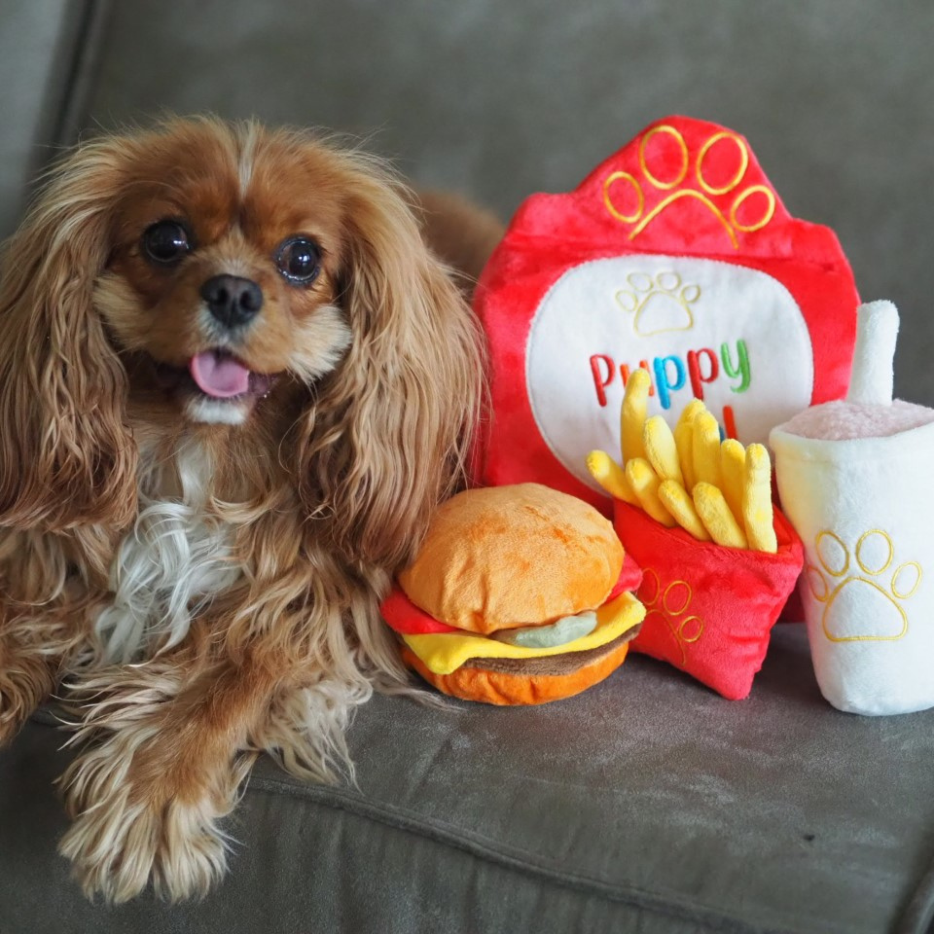 Puppy Meal