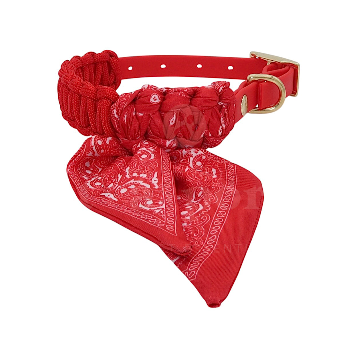 Foulie Collar | Red Bandit