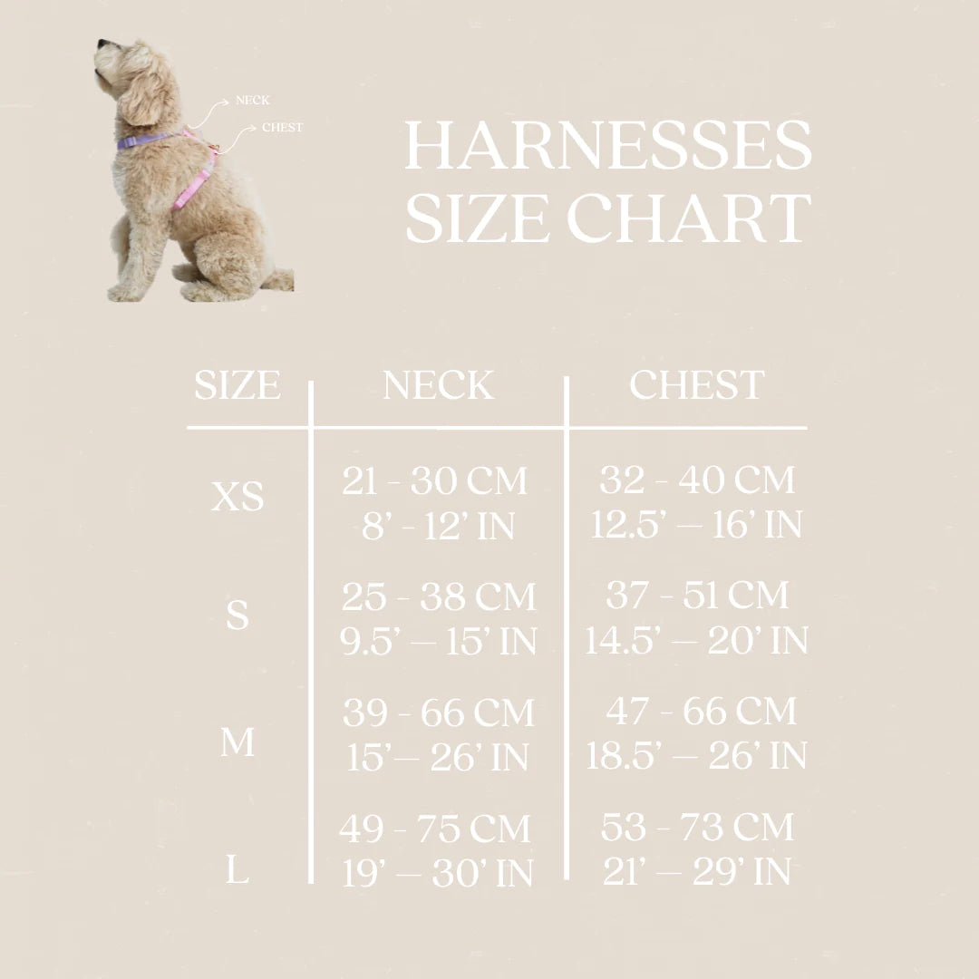 Dog Harness - Padded Aqua