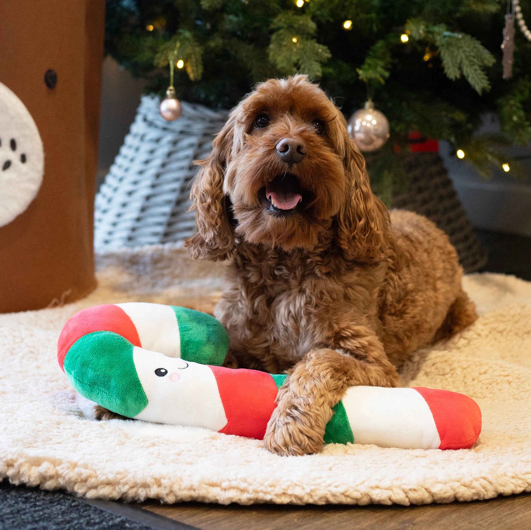 Candy Cane Plush Rope