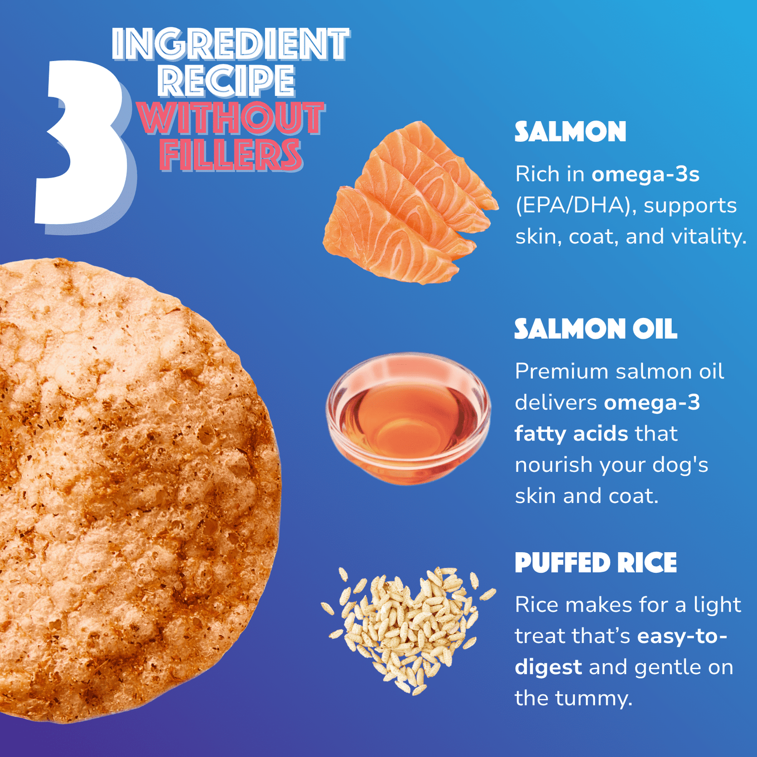 Dog Pops | Salmon