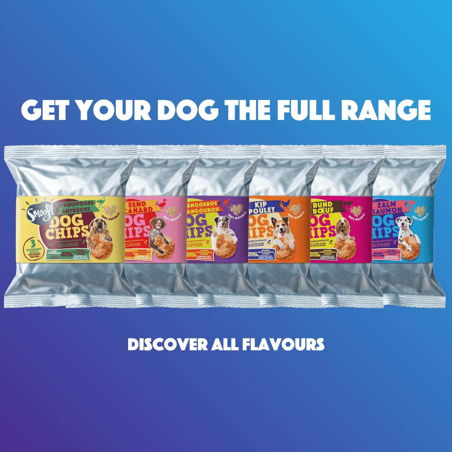 Dog Pops | Salmon