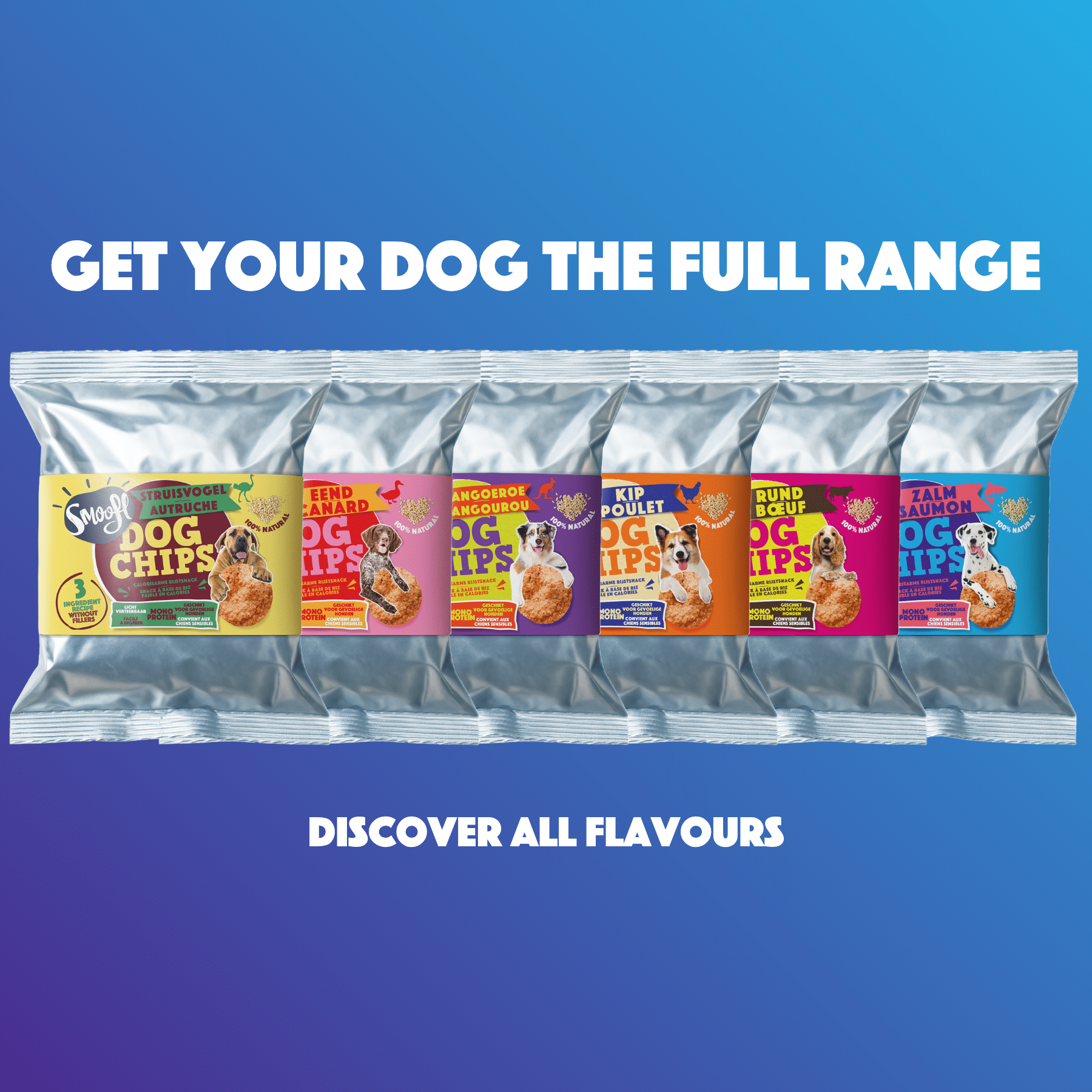 Dog Pops | Salmon