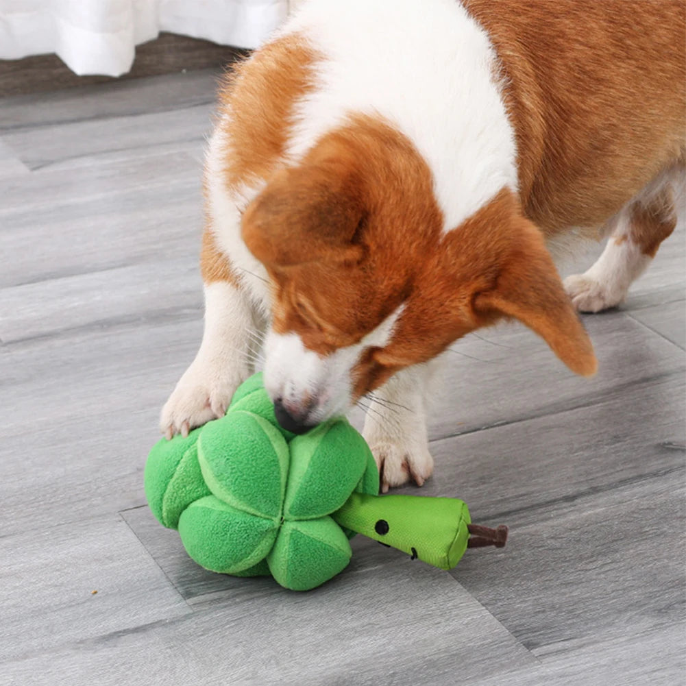 Broccoli Nosework Ball