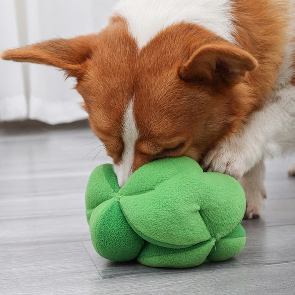 Broccoli Nosework Ball