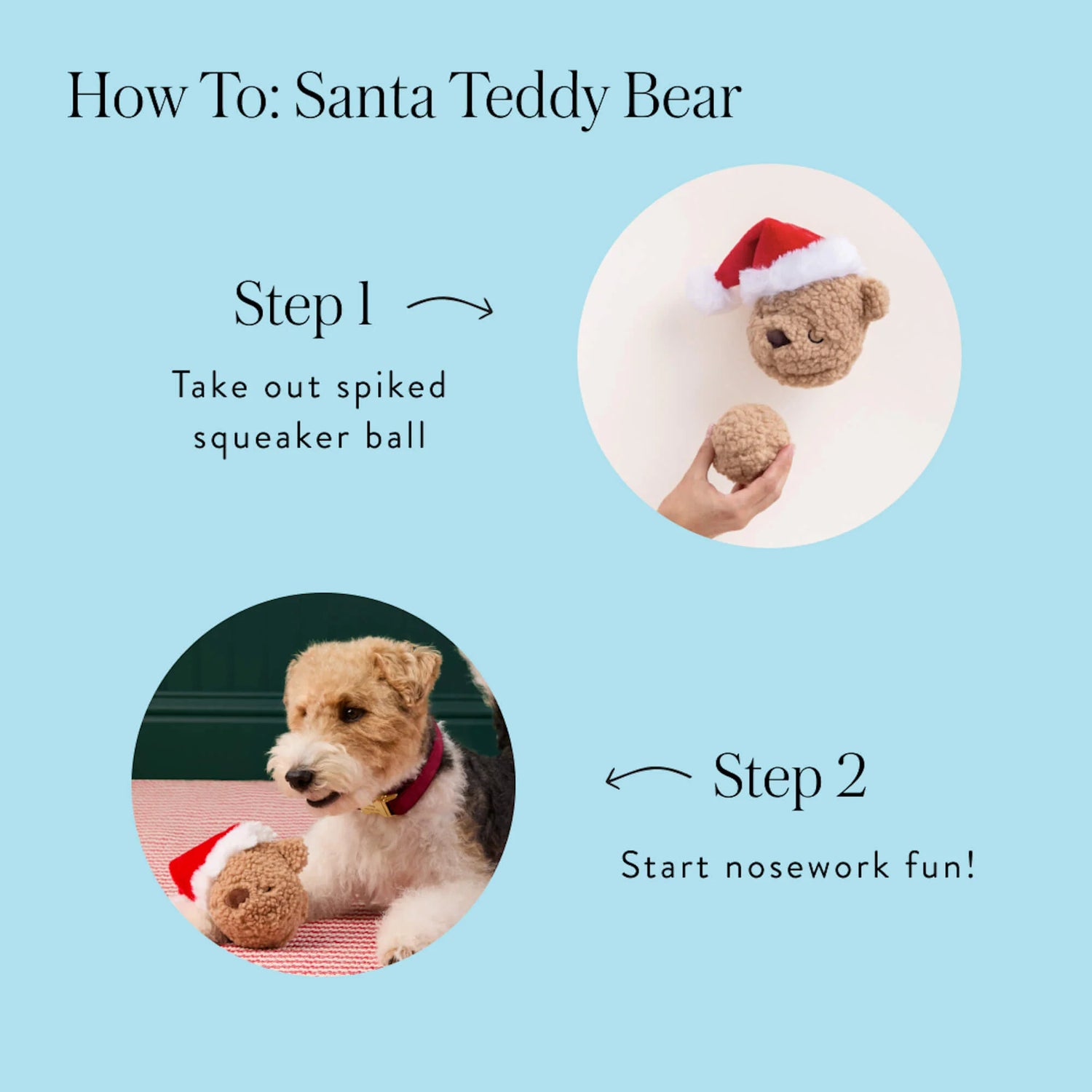 Santa Teddy Bear 2-in-1 Bounce Dog Toy