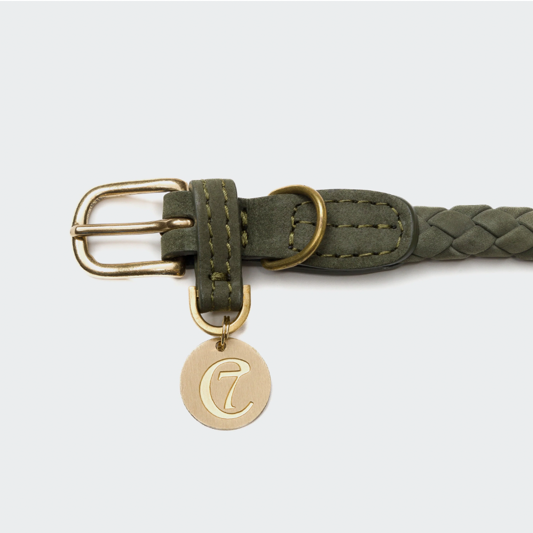 Cloud7 Dog Collar Ravello - Moss