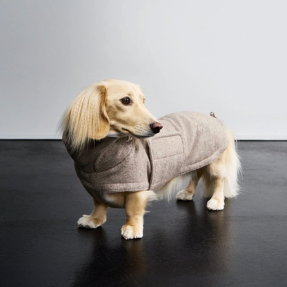 Cloud7 Brooklyn Coat DACHSHUND - Tweed Beige