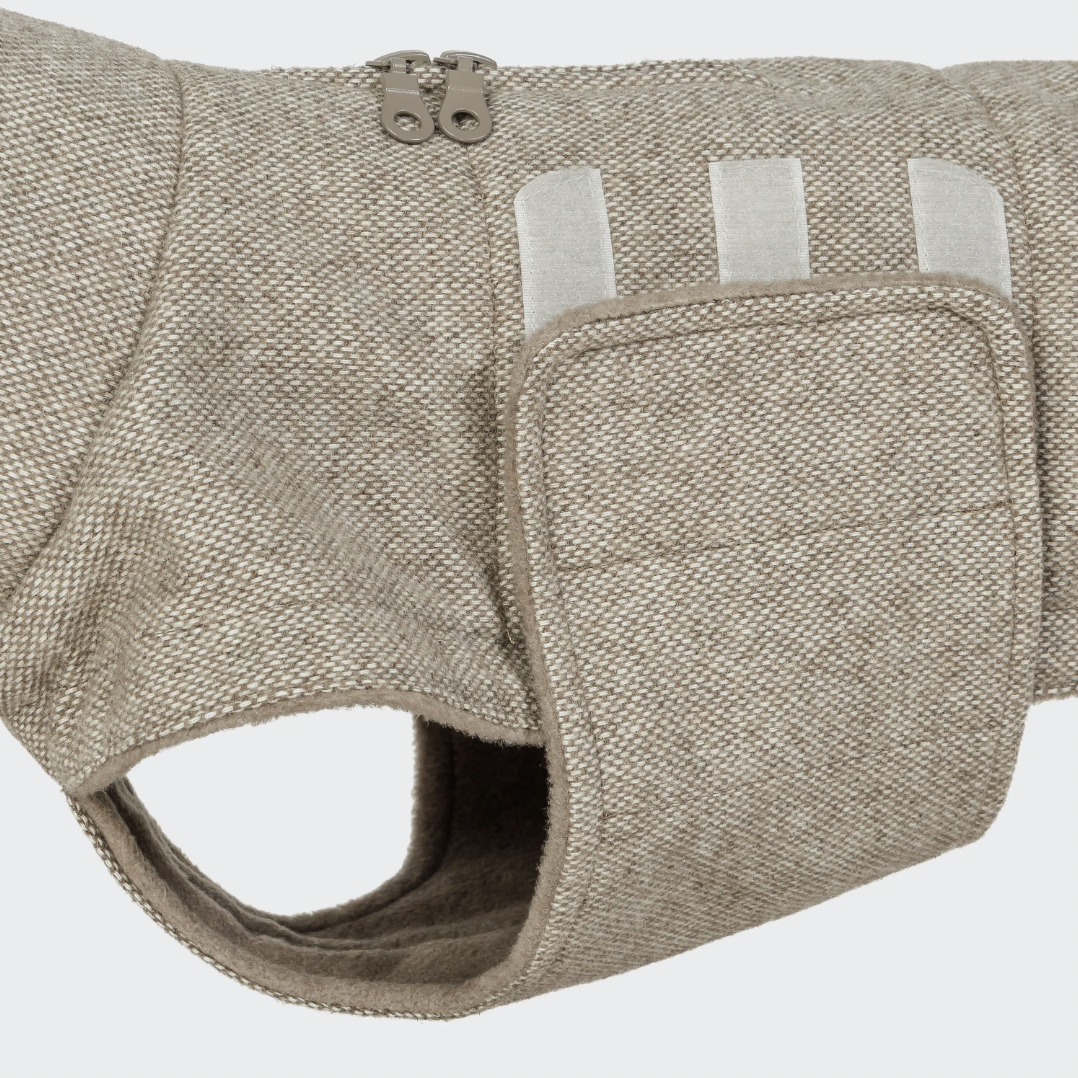 Cloud7 Brooklyn Coat DACHSHUND - Tweed Beige