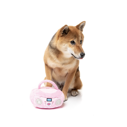 Portable CD Player