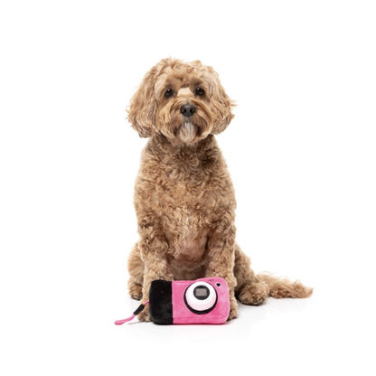 Digicam