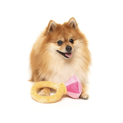 Diamond In The Ruff Ring