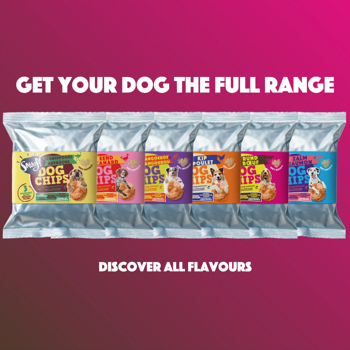Dog Pops | Beef
