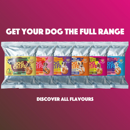 Dog Pops | Beef