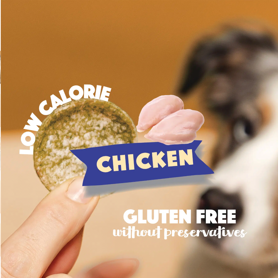 Dog Pops | Chicken