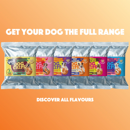Dog Pops | Chicken